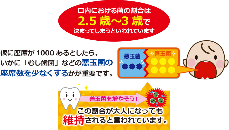 口内における菌の割合は2.5歳〜3歳で決まってしまうそうです