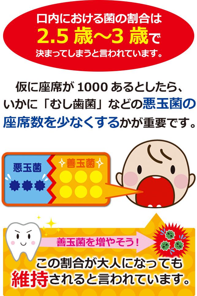 口内における菌の割合は2.5歳〜3歳で決まってしまうそうです